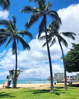 faab2f9b-ee51-4cf6-b3d6-e78b85e722b8